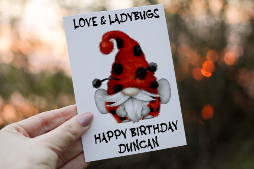 Love & Ladybugs Gnome Birthday Card, Gonk Birthday Card